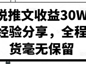 小说推文收益30W大佬经验分享,全程干货毫无保留