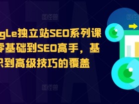 谷歌google独立站SEO系列课程,从零基础到SEO高手,基础知识到高级技巧的覆盖