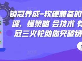 销冠养成-软硬兼备的销售技能课,懂策略 会技术 有能力 销冠三火轮助你突破销售瓶颈!
