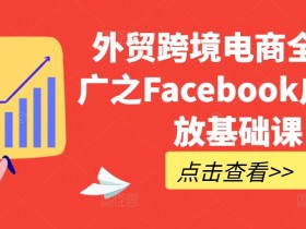 外贸跨境电商全网推广之Facebook广告投放基础课
