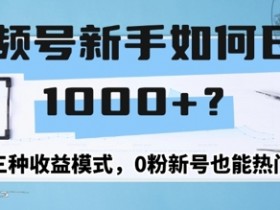 视频号新手如何日入1k?三种收益模式,0粉新号也能热门