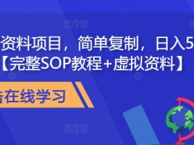 教务资料项目,简单复制,日入500元【完整SOP教程+虚拟资料】