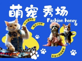 酷飒动物跳舞走秀,时尚喵FASHION汪, 多金小姐姐最爱的,轻松月入破W【揭秘】