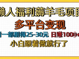 懒人福利薅羊毛项目,无门槛,每天看剧日入几张,多平台变现,小白跟着做就行了