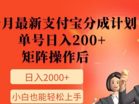 11月最新支付宝分成计划,单号日入200+,矩阵操作后,小白也能轻松上手