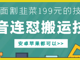 外面别人割199元DY连怼搬运技术,安卓苹果都可以