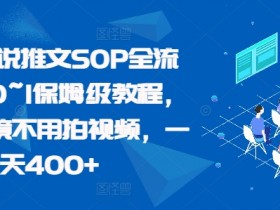 最新小说推文SOP全流程,从0~1保姆级教程,不用出镜不用拍视频,一天400+