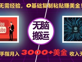 无需经验,0基础复制粘贴赚美刀,动动手指,月入3000+刀,无上限【揭秘】
