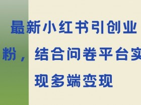 最新小红书引大学生创业粉,结合问卷平台实现多端变现