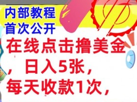 在线点击撸美金,日入几张张,每天收款1次,懒人捡钱,内部教程,首次公开
