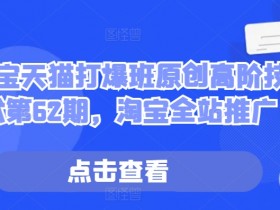 淘宝天猫打爆班原创高阶技术第62期,淘宝全站推广