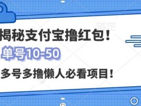 支付宝全自动撸金,无需养机,当天落地3张,很适合零基础小白的兼职副业