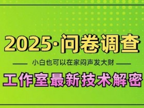 2025问卷调查最新工作室技术解密:一个人在家也可以闷声发大财,小白一天2张,可矩阵放大【揭秘】