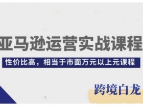 亚马逊运营实战课程,亚马逊从入门到精通,性价比高,相当于市面万元以上元课程