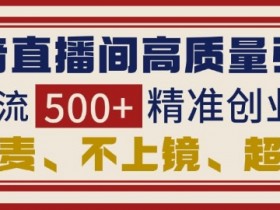 抖音直播间引流创业粉,无需连麦、不用上镜、超暴力,日引流500+高质量精准创业粉