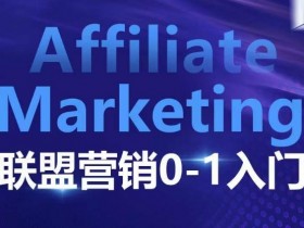 Affiliate Marketing联盟营销0-1入门,联盟营销基本逻辑 联盟平台逻辑及联盟客逻辑全面详解