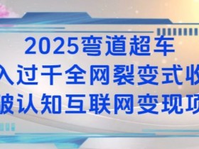 2025弯道超车日入过K全网裂变式收益打破认知互联网变现项目【揭秘】