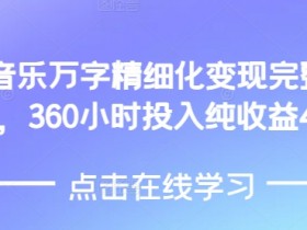 AI音乐精细化变现完整教程,360小时投入纯收益4W
