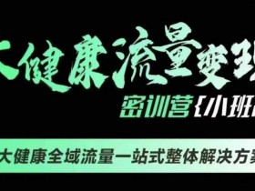 千万级大健康变现课线下课,大健康全域流量一站式整体解决方案