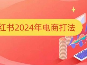 小红书2024年电商打法,手把手教你如何打爆小红书店铺