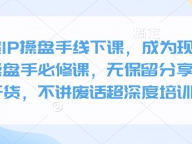 全案IP操盘手线下课,成为现象级ip操盘手必修课,无保留分享,全是干货,不讲废话超深度培训实操