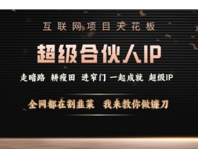 互联网项目天花板,超级合伙人IP,全网都在割韭菜,我来教你做镰刀【仅揭秘】
