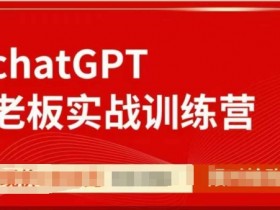 ChatGPT老板实战训练营,用GPT带飞,一人顶一个团队