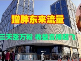 蹭胖东来流量,三天涨万粉,收益直接起飞