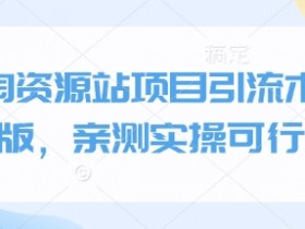 小淘资源站项目引流术终极版,亲测实操可行的
