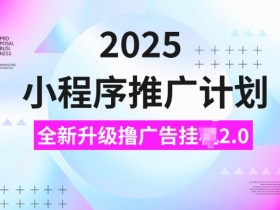 2025小程序推广计划,撸广告挂JI3.0玩法,日均5张【揭秘】