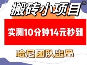 搬砖小项目,实测10分钟14元秒到,每天稳定几张(赠送必看稳定)