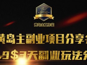 黄岛主副业分享会1期:3天3个副业玩法,速度上车