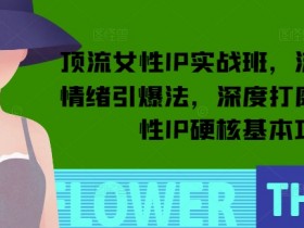 顶流女性IP实战班,流量上亿情绪引爆法,深度打磨顶流女性IP硬核基本功