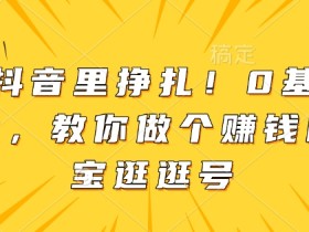 别在抖音里挣扎!0基础做副业,教你做个赚钱的淘宝逛逛号
