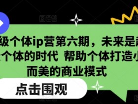 超级个体ip营第六期,未来是超级个体的时代  帮助个体打造小而美的商业模式