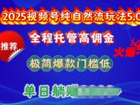 2025视频号纯自然流玩法5.0,全程托管高佣金,极简爆款门槛低,单日收益多张【揭秘】