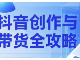 抖音创作者全攻略,从广告分成到高清视频制作,实现流量变现