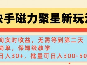 快手磁力新玩法,可查询实时收益,单机30+,批量可日入3到5张【揭秘】