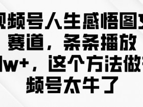 视频号人生感悟图文赛道,条条播放10w+,这个方法做视频号太牛了