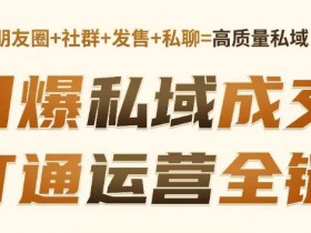 高成交私聊转化,引爆私域成交,打通运营全链