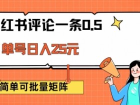小红书评论一条0.5元 单账号一天可得25元 可矩阵操作 简单无脑靠谱【揭秘】