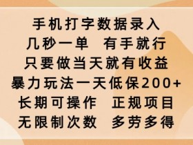 手机打字数据录入,几秒一单,有手就行,只要做当天就有收益,暴力玩法一天低保2张