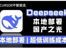 2025年deepseek R1 大型模型本地安装部署(文件+教程)本地部署,超低训练成本