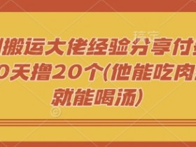 短剧搬运大佬经验分享付费短剧20天撸20个(他能吃肉我们就能喝汤)