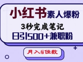 小红书素人爆粉,3秒完成笔记,日引500+兼职粉,月入5位数
