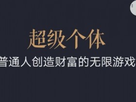 超级个体2024-2025翻盘指南,普通人创造财富的无限游戏