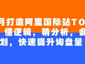 4个月打造阿里国际站TOP店铺,懂逻辑,精分析,会规划,快速提升询盘量