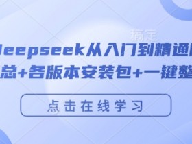 完整版Deepseek从入门到精通附最全指令汇总+各版本安装包+一键整合包
