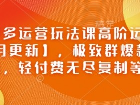 拼多多运营玩法课高阶运营【2月更新】,极致群爆款玩法,轻付费无尽复制等