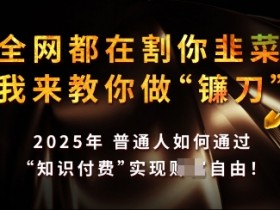 知识付费如何做到月入过W+,2025我来教你做“镰刀”【揭秘】